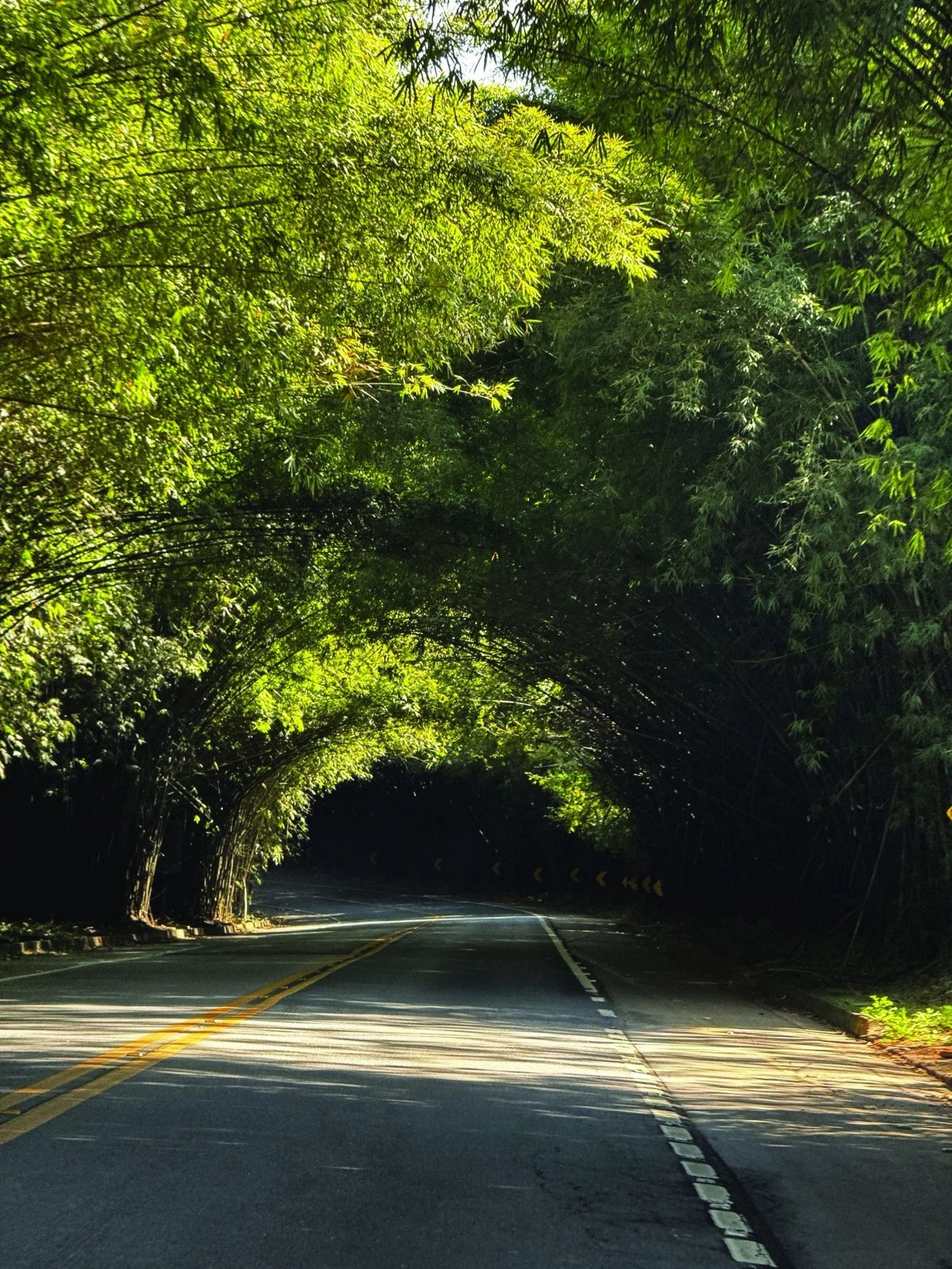 Caminhos de natureza